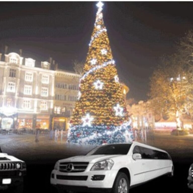 Christmas Limousine Service