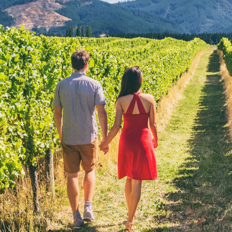 Wine Tours