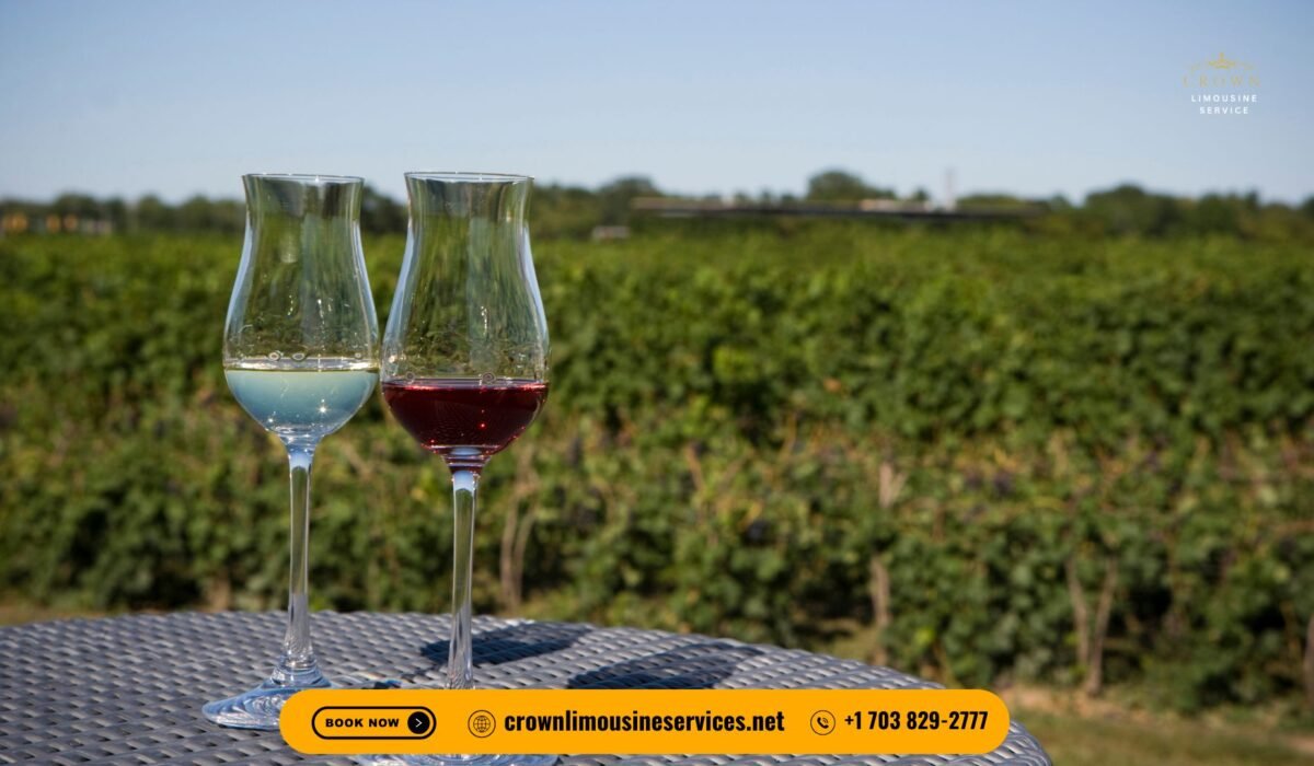 Is Virginia Wine Country Worth Visiting? Crown Limousine Services Takes You There in Style