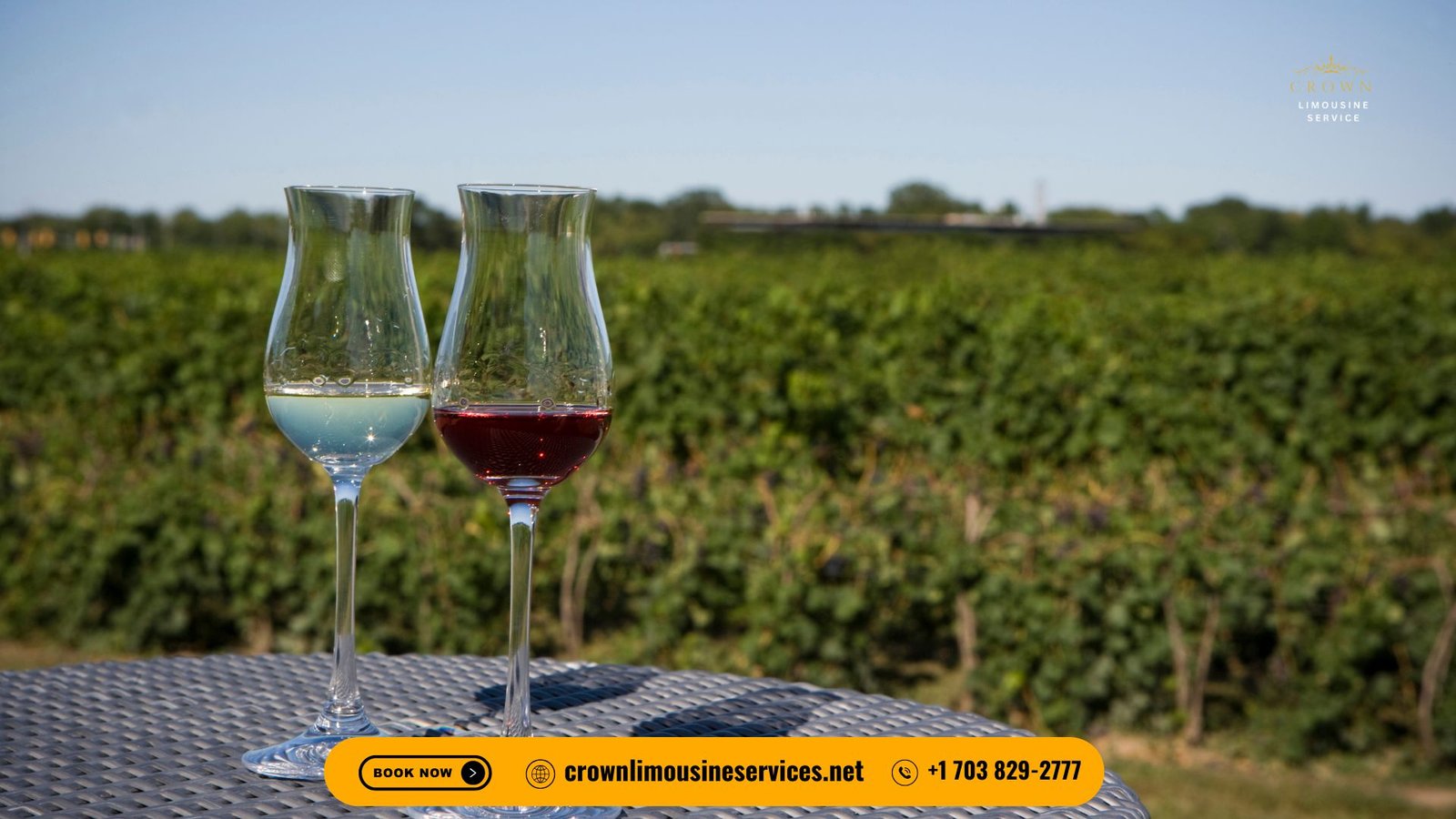 Is Virginia Wine Country Worth Visiting? Crown Limousine Services Takes You There in Style